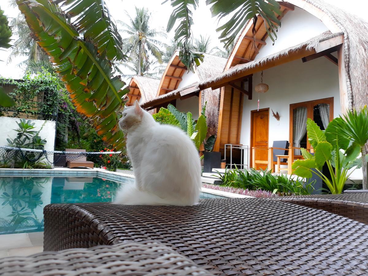 Teras Lombok Bungalow スンギギ エクステリア 写真